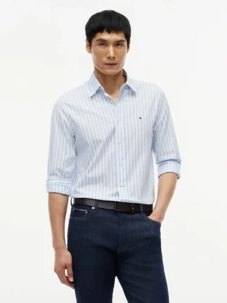 Camicia a righe Regular Fit All-Day