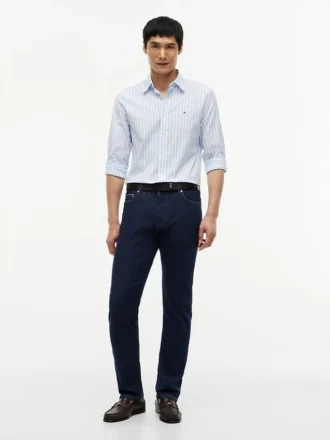 Camicia a righe Regular Fit All-Day