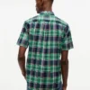Camicia Oxford a quadri audaci con vestibilità regolare Camicia Oxford a quadri audaci con vestibilità regolare