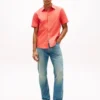 Camicia Oxford tinta in capo, vestibilità regolare Camicia Oxford tinta in capo, vestibilità regolare