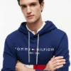 Felpa con cappuccio a blocchi di colore con logo Tommy ricamato