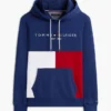 Felpa con cappuccio a blocchi di colore con logo Tommy ricamato