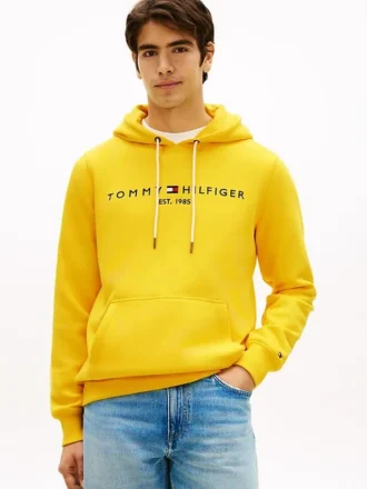 Felpa con cappuccio e logo Tommy ricamato