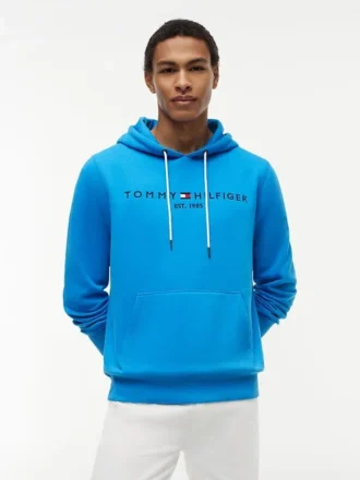 Felpa con cappuccio e logo Tommy ricamato