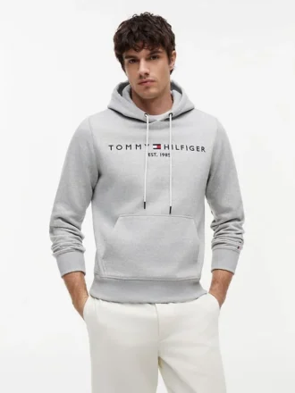 Felpa con cappuccio e logo Tommy ricamato