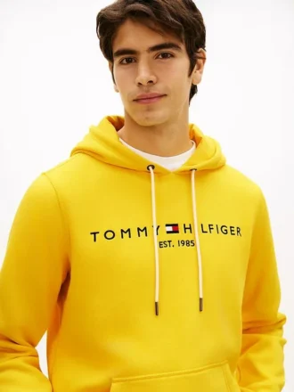 Felpa con cappuccio e logo Tommy ricamato