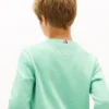 Felpa Hilfiger 85 Logo per bambini Felpa Hilfiger 85 Logo per bambini
