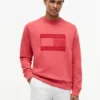 Felpa raglan con logo bandiera e interno spazzolato Felpa raglan con logo bandiera e interno spazzolato