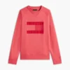 Felpa raglan con logo bandiera e interno spazzolato Felpa raglan con logo bandiera e interno spazzolato