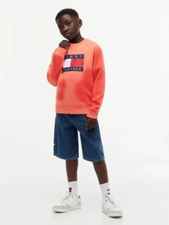 Felpa raglan con logo Tommy Flag per bambini