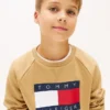 Felpa raglan con logo Tommy Flag per bambini Felpa raglan con logo Tommy Flag per bambini