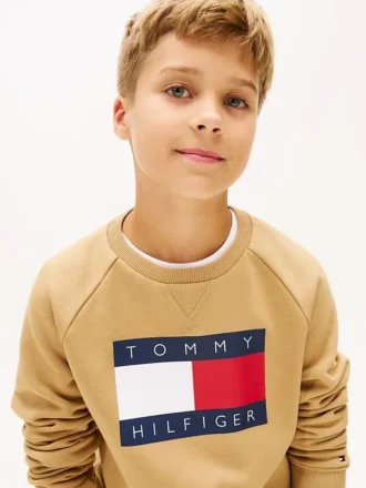 Felpa raglan con logo Tommy Flag per bambini