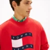 Felpa Tommy Jeans con logo Wavy Flag Felpa Tommy Jeans con logo Wavy Flag