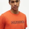 Maglietta Hilfiger con logo Box Maglietta Hilfiger con logo Box