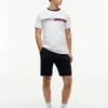 T-shirt con logo Signature Flag Stripe