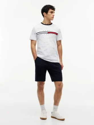 T-shirt con logo Signature Flag Stripe