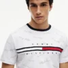 T-shirt con logo Signature Flag Stripe