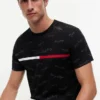 T-shirt con logo Signature Flag Stripe