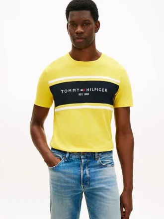 T-shirt Hilfiger con logo a righe