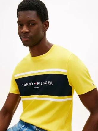 T-shirt Hilfiger con logo a righe
